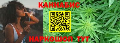 индика Беслан