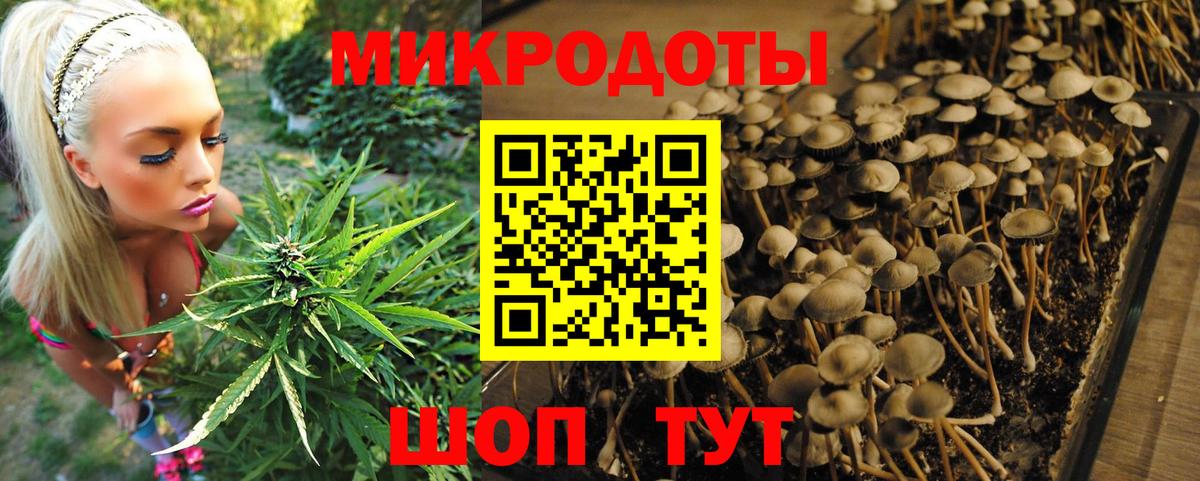Галлюциногенные грибы GOLDEN TEACHER Изобильный